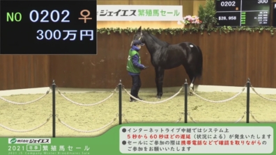 ジェイエス冬季繁殖牝馬セール、ありがとうございました。